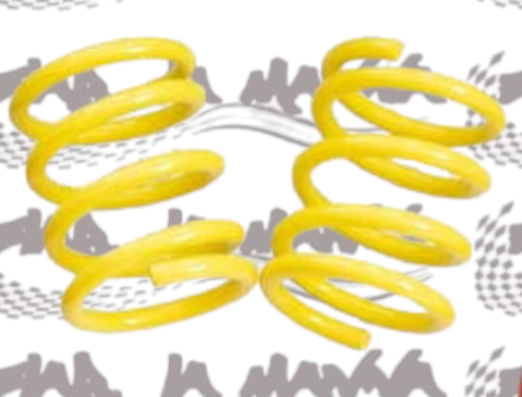 MOLLE POSTERIORI PER FIAT 500/126