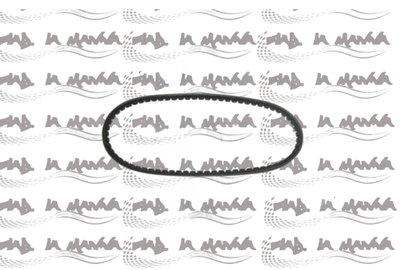 CINGHIA DINAMO PER FIAT 500