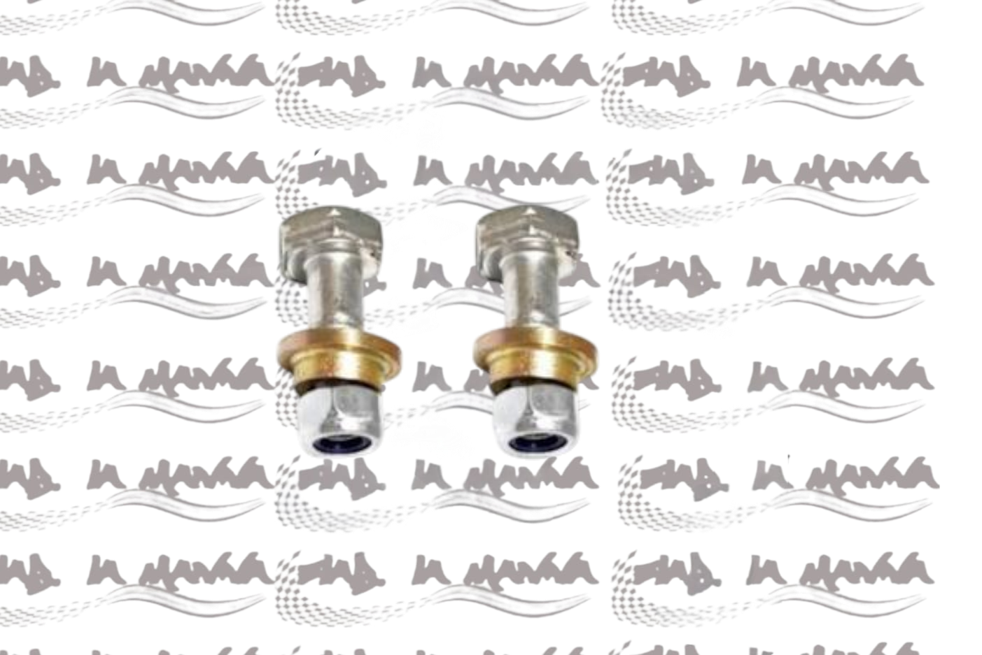 COPPIA BULLONI FISSAGGIO SUPPORTO ASTA MARCE PER FIAT 500