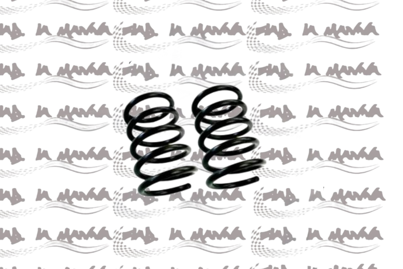 COPPIA MOLLE SOSPENSIONE POSTERIORE ALTEZZA STANDARD 22 CM PER FIAT 500