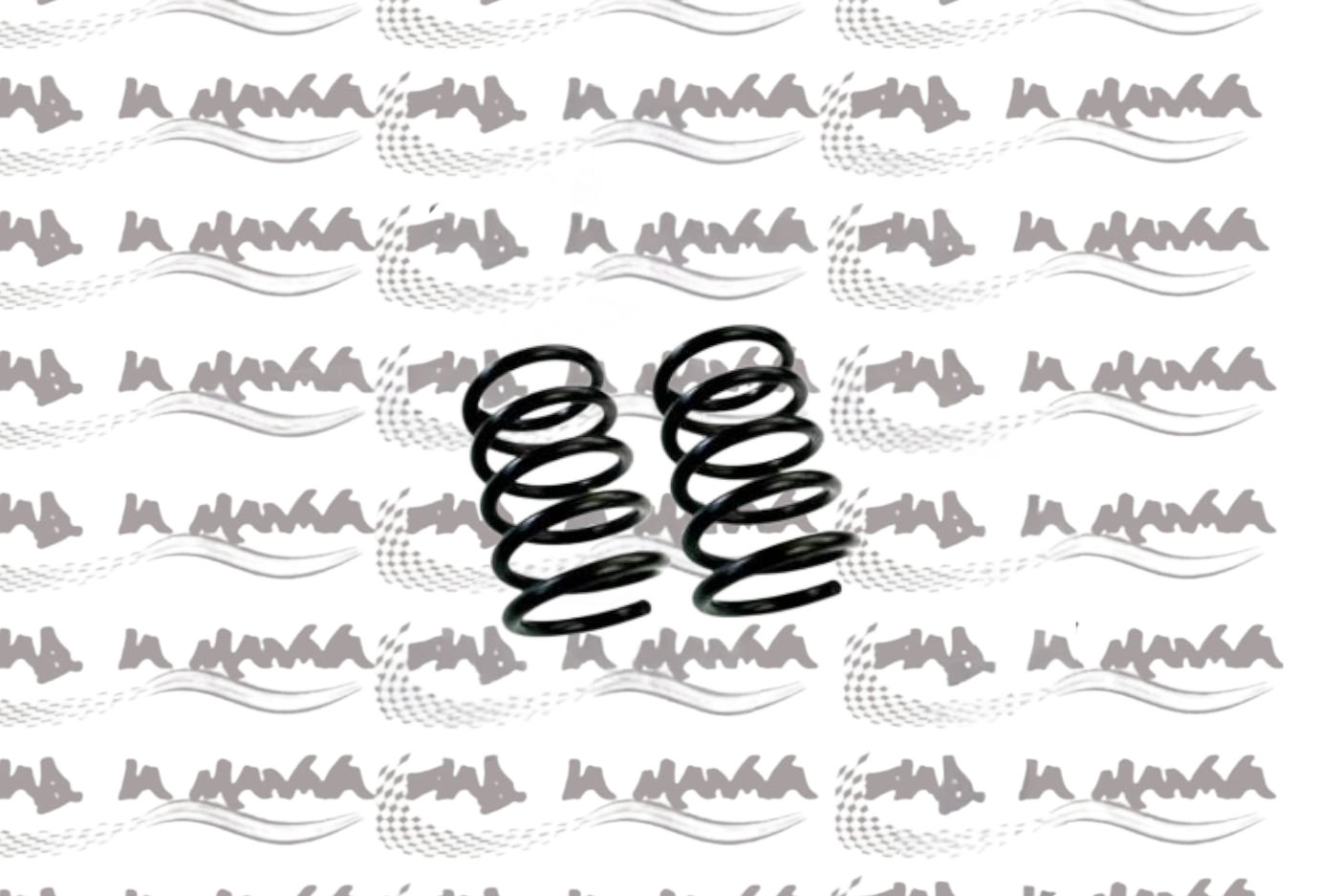 COPPIA MOLLE SOSPENSIONE POSTERIORE ALTEZZA STANDARD 22 CM PER FIAT 500