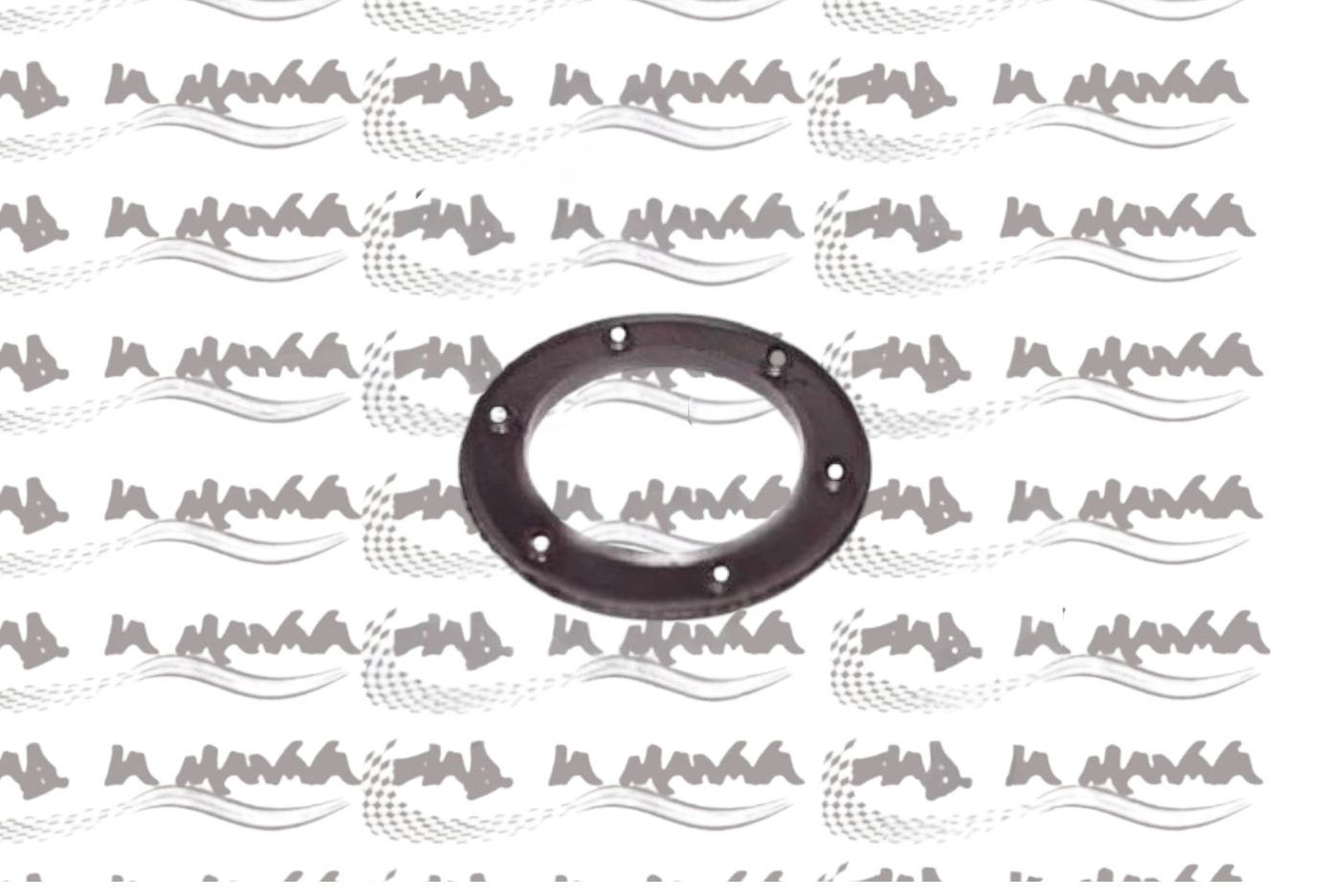 GUARNIZIONE GALLEGGIANTE BENZINA PER FIAT 500