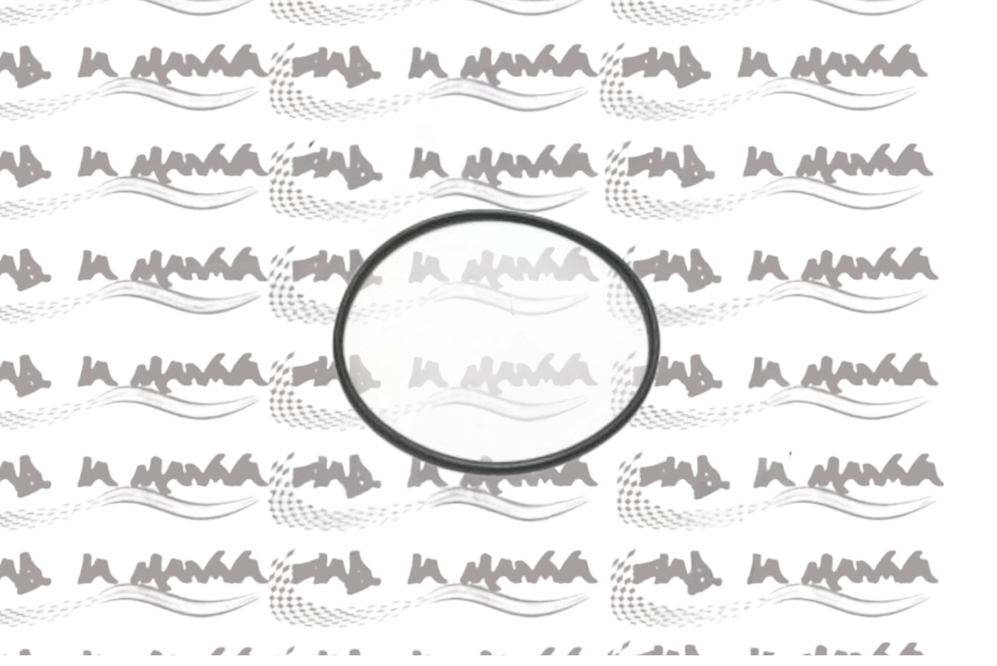 GUARNIZIONE O-RING CENTRIFUGA OLIO MOTORE PER FIAT 500