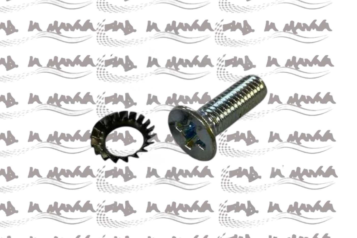 VITE E RONDELLA SVASATE PER FISSAGGIO BRONZINA DI BANCO ANTERIORE PER FIAT 500